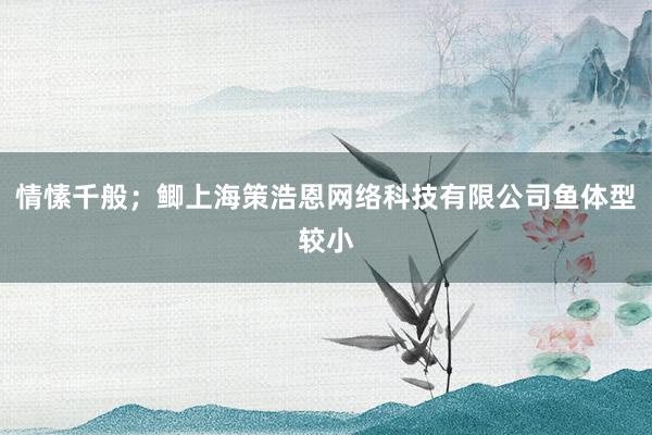情愫千般；鲫上海策浩恩网络科技有限公司鱼体型较小