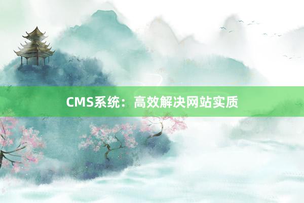 CMS系统:高效解决网站实质